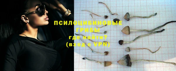 тгк Алзамай