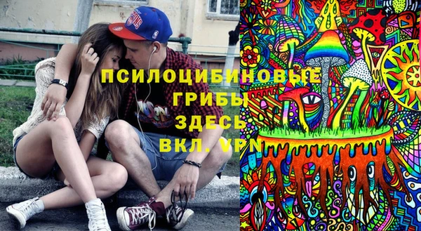 эйфоретик Алексин