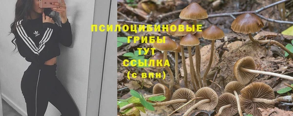 эйфоретик Алексин