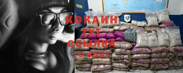 тгк Алзамай