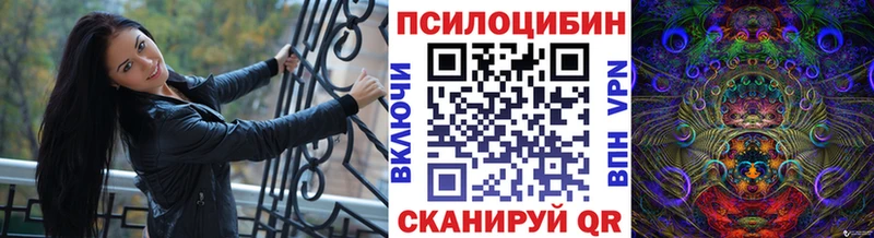 наркота  Котельники  Галлюциногенные грибы мицелий 